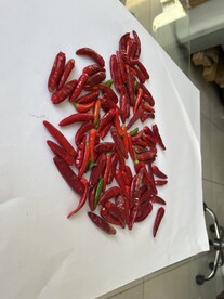 辣椒