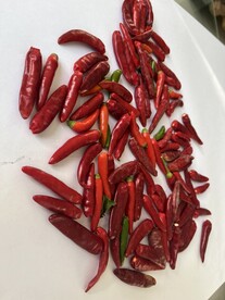 辣椒
