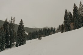 雪山树林风景