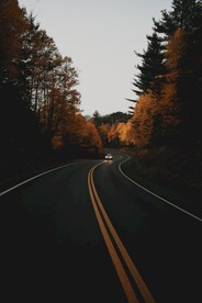 林间道路 