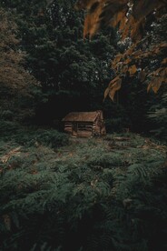 林间木屋