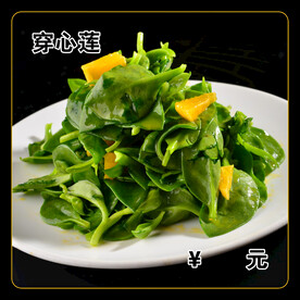 穿心莲