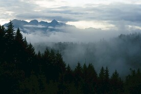 云海山林风景