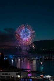 烟花海景