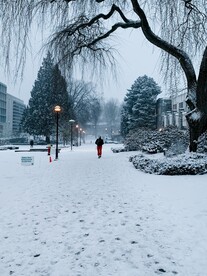 建筑园林雪景