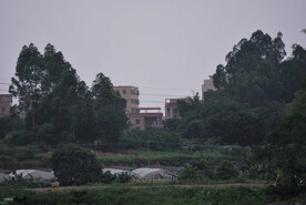 乡村