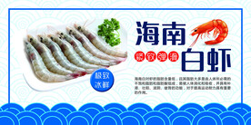 海南 白虾