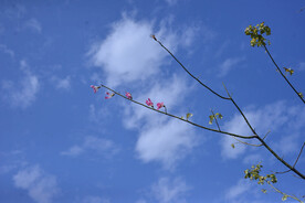 花城城市天空