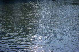水面