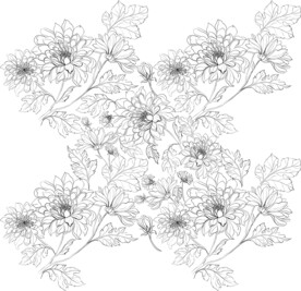 花瓣线稿
