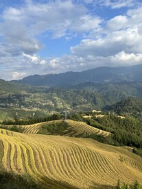 广西龙脊梯田 黄金梯田 远山黛