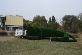 公园风景 