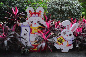 温室花草