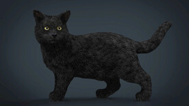 C4D模型 猫