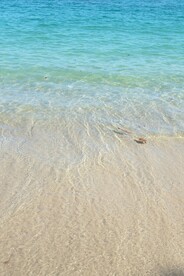 海滩上的海水