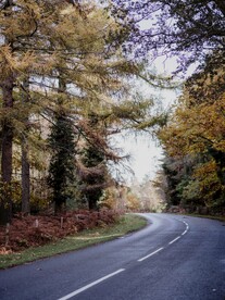 林间道路