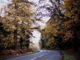 林间道路