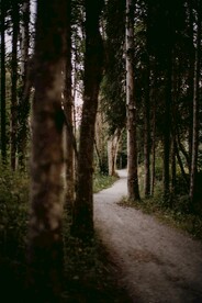 林间小路