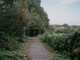 林间小路