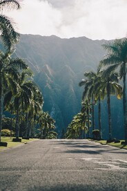 道路风景