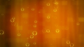 韩风光效视频