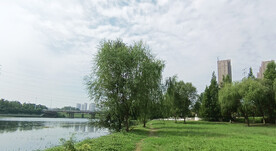 河边美景