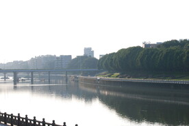 城区公园