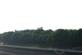 城市公园绿化