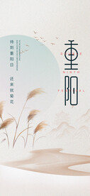 重阳节  