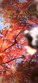 霜降  
