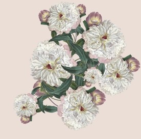 数码印花