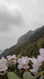 云髻山花烂漫