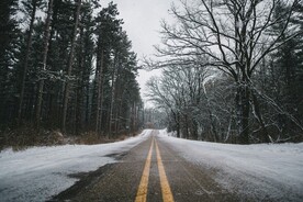 雪中树林和道路