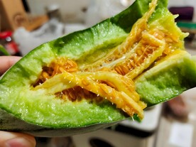 羊角蜜瓜