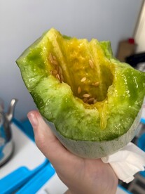 羊角蜜瓜