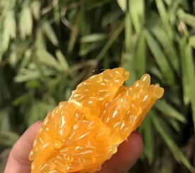 柑橘