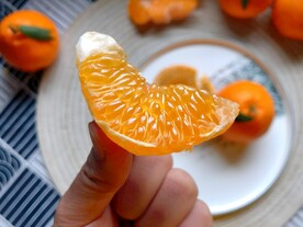 柑橘