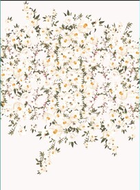 定位花