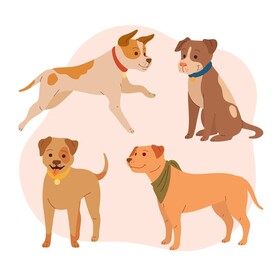狗插画