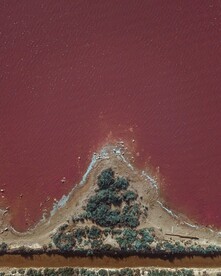 红海
