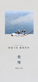 大雪海报