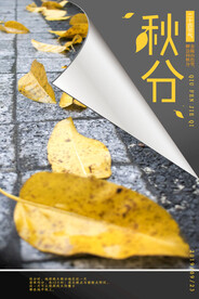 秋分