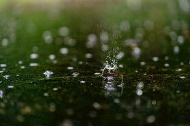 水花素材