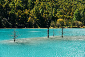 玉龙湖