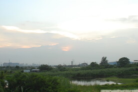 郊野