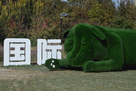 公园风景 