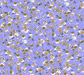 数码印花  
