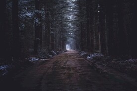 林间道路