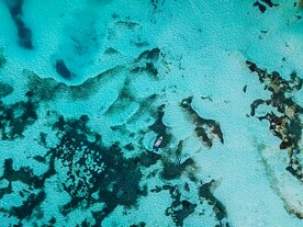 海上游艇鸟瞰图