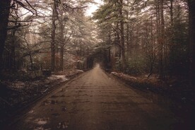 林间道路